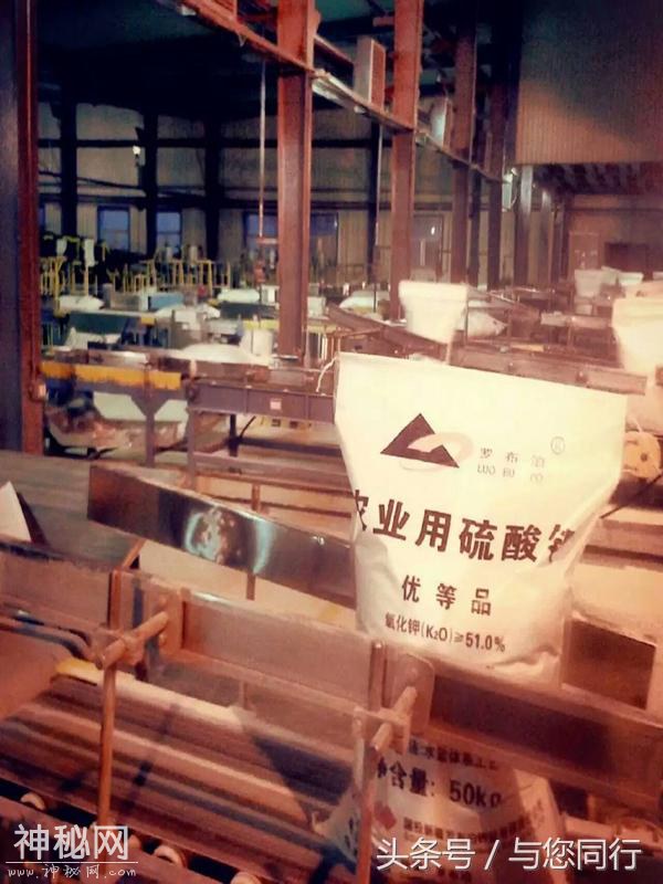 罗布泊 钾盐世界第一多-6.jpg