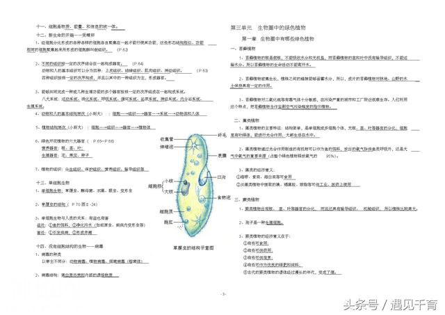 人教版生物七年级上册复习资料大全-3.jpg