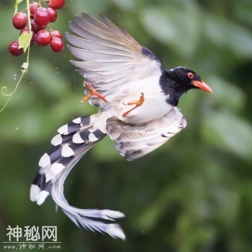 很接地气的心灵鸡汤语录，句句箴言，发朋友圈很受欢迎！-4.jpg