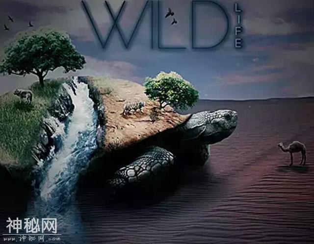 比皇帝命还好：天生仙胎！讲讲这些年遇到的奇人怪事3：巨鼋-1.jpg