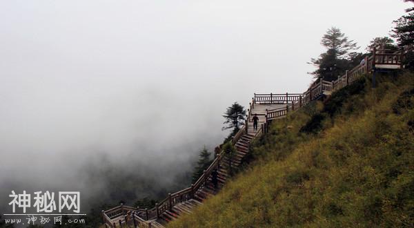 独自一人闯入神农架神秘禁地，就是为了探寻有没有野人-14.jpg