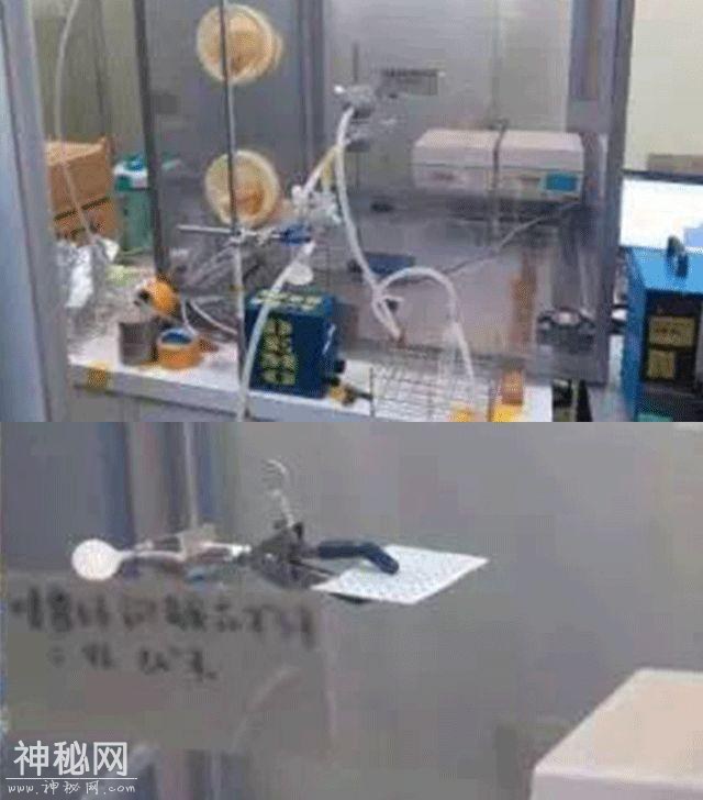 日本卖爆了的“消毒卡”，挂在身上就把流感病毒、细菌统统灭掉了！-17.jpg