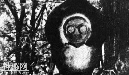 地球未知生物：1952年弗拉特伍兹怪物，乘坐UFO降落农场-2.jpg
