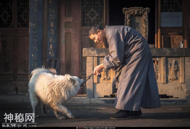 摄影知识丨什么是人文摄影-11.jpg