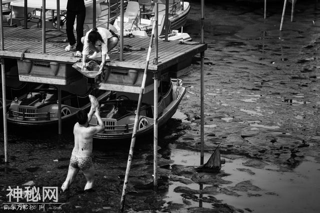 摄影知识丨什么是人文摄影-10.jpg