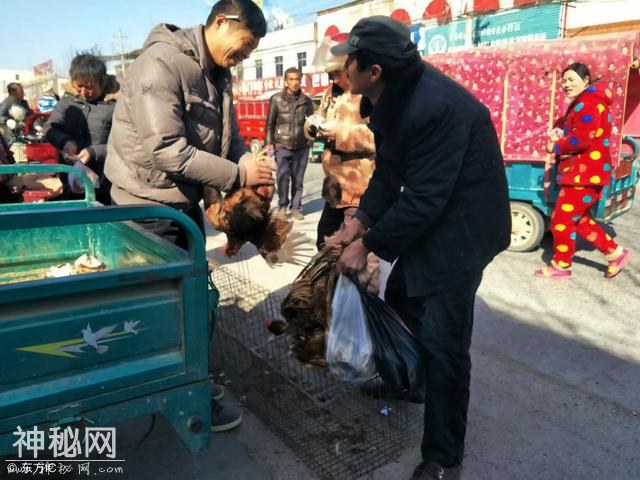 摄影知识丨什么是人文摄影-14.jpg