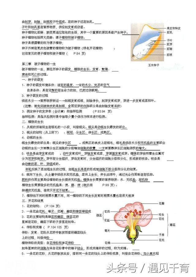 七年级上册生物复习资料-6.jpg