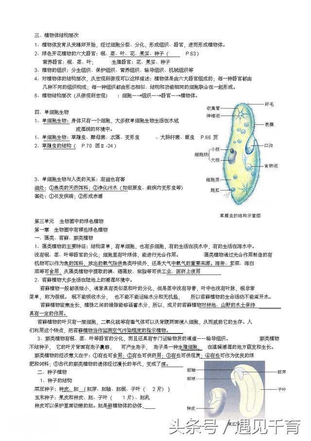 七年级上册生物复习资料-5.jpg