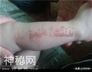 神农架野人之谜 野人真的存在？-5.jpg