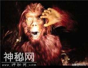 神农架野人之谜 野人真的存在？-3.jpg
