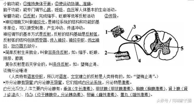 2018年初中生物会考复习资料（含多图），考前复习下！-4.jpg
