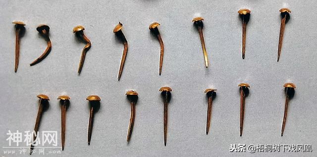 山东考古发现诡异“棺封门”，墓主还是小孩，手指套11只金环-13.jpg