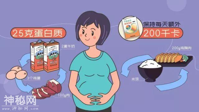 每天喝鸡汤就够了？营养不良对胎儿会有影响的-5.jpg