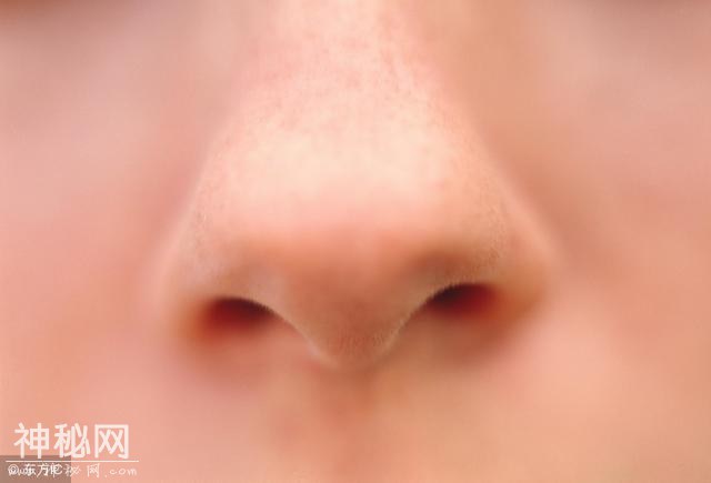 人体哪里细菌最多？你可不能忽略了这3个细菌藏匿的部位！-3.jpg