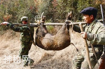 长兴在全省首推野生动物肇事责任险-1.jpg