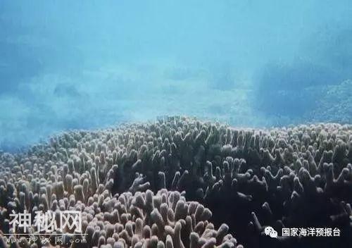 三沙发现神秘海洋蓝洞 罕见的自然地理现象美到哭泣-5.jpg