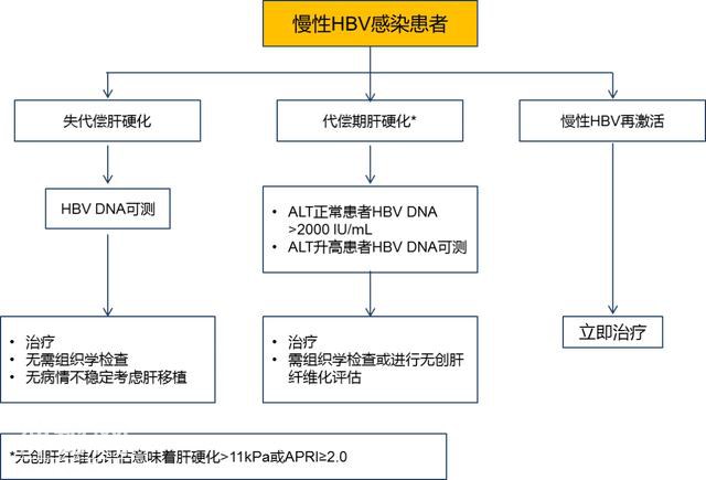 无症状小三阳和乙肝病毒DNA-5.jpg