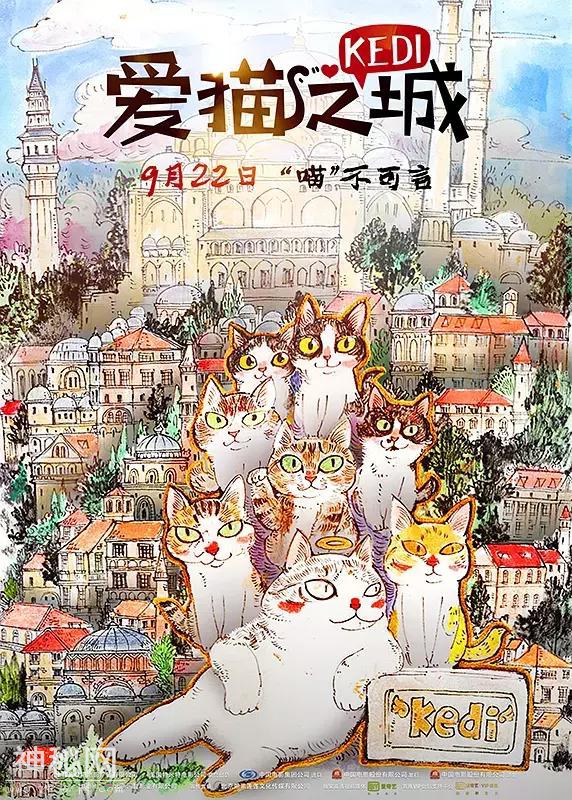 5部超治愈的动物纪录片，第一部高达9.1！-6.jpg