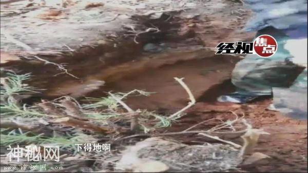 现实版“盗墓笔记”，盗墓团伙受审-1.jpg