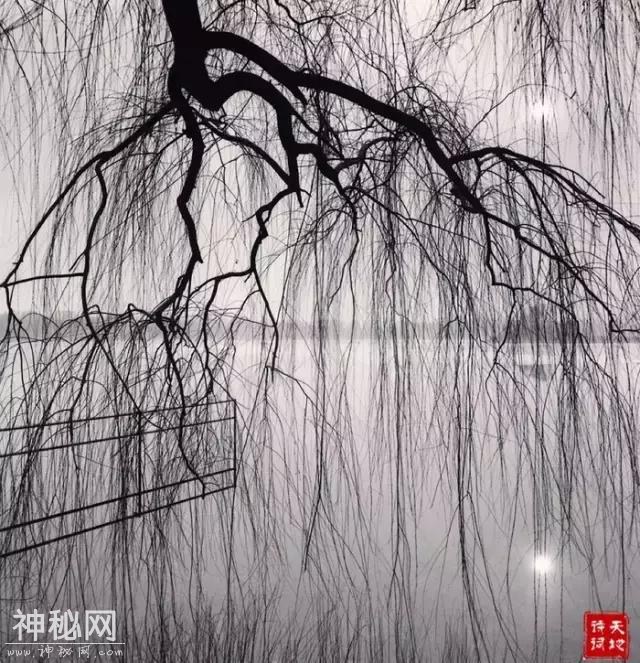 78道人文知识，你知道多少？-13.jpg