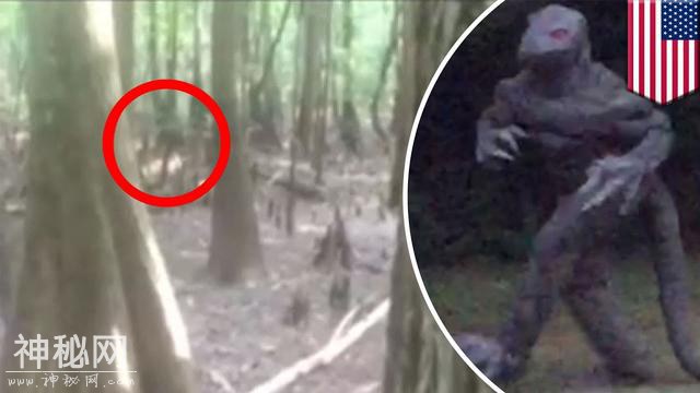 「未知生物」5种不明生物，都是真实事件？还是都市传说？-1.jpg