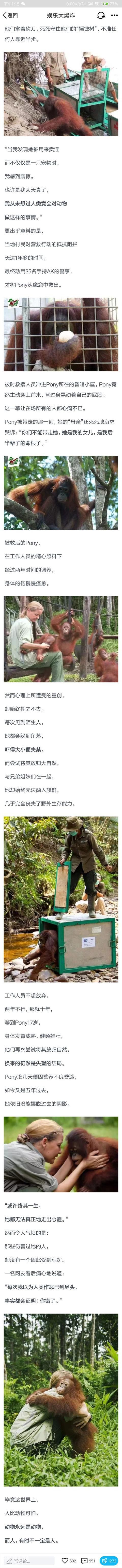 动物永远是动物，人有时候却不是人-2.jpg