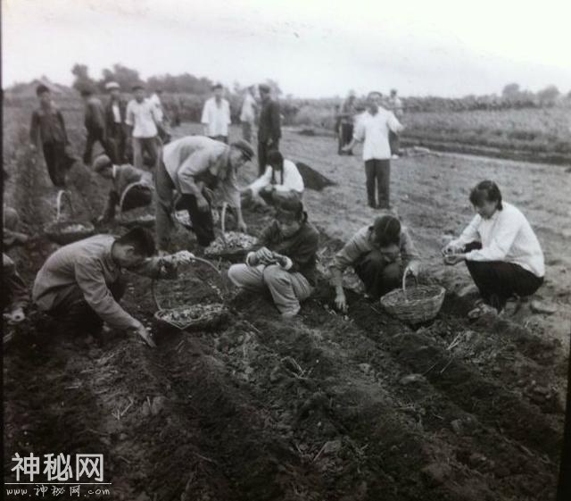 七八十年代的生活是怎样的？一个字，苦-1.jpg