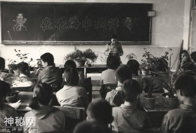 七八十年代的生活是怎样的？一个字，苦-2.jpg
