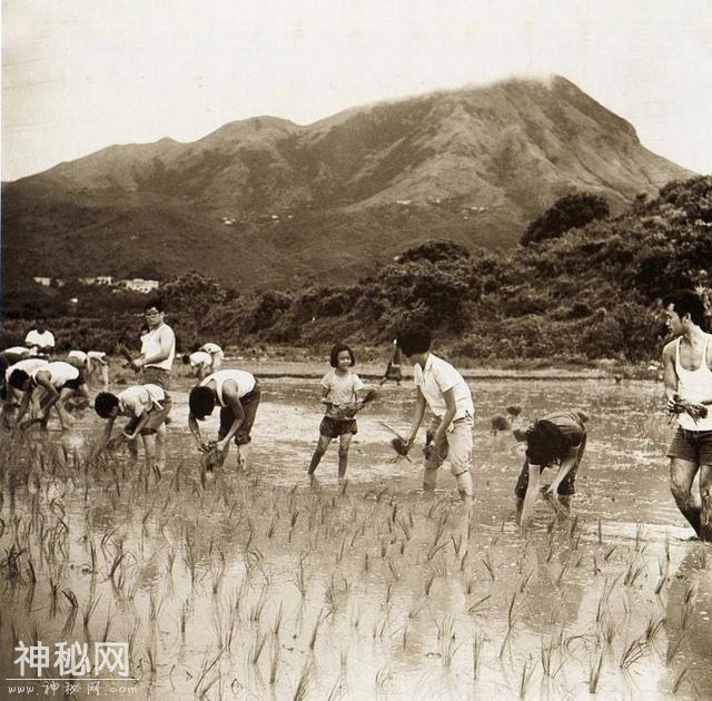 七八十年代的生活是怎样的？一个字，苦-3.jpg