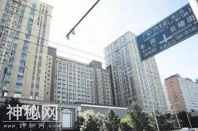 骗5个亿的“国家宝藏”：两万造的假文物，被顶级专家鉴定值24亿-9.jpg