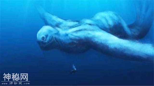 格陵兰海惊现未知生物，是NINGEN的重现？还是传说中的美人鱼？-1.jpg