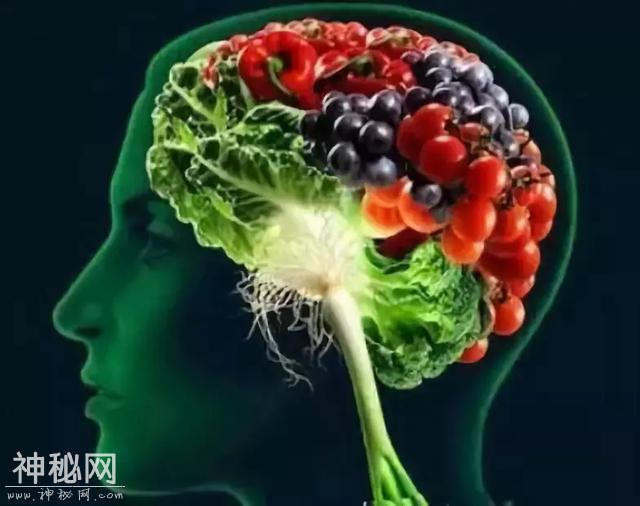 膳食纤维：数百万年前人类与肠道细菌签订的共生协议条款之一-6.jpg