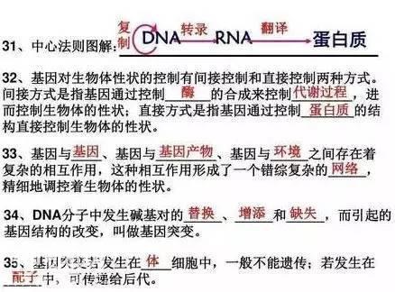 高中生物必考重点知识填空版-16.jpg