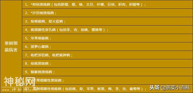 速速收藏！最全细菌病病害识别速查表-5.jpg