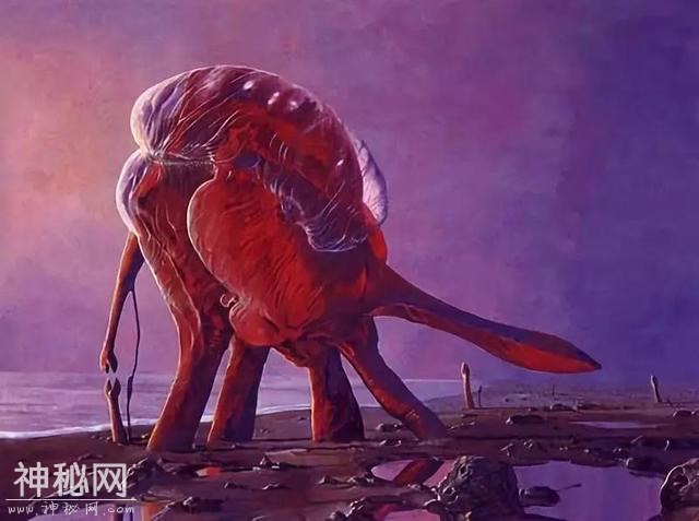 外星生物到底能长成啥样呢？-9.jpg