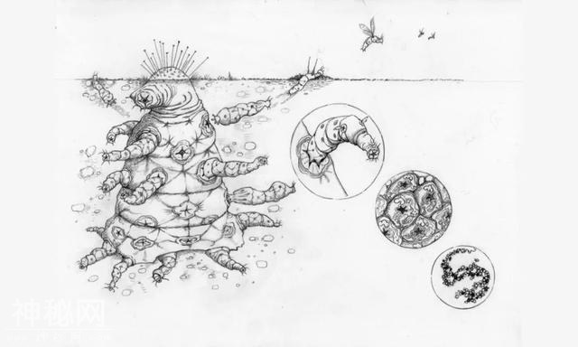 外星生物到底能长成啥样呢？-7.jpg