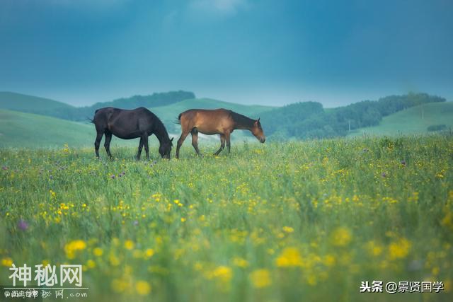 腊月：九种习俗，五种禁忌，一定要知道！-1.jpg