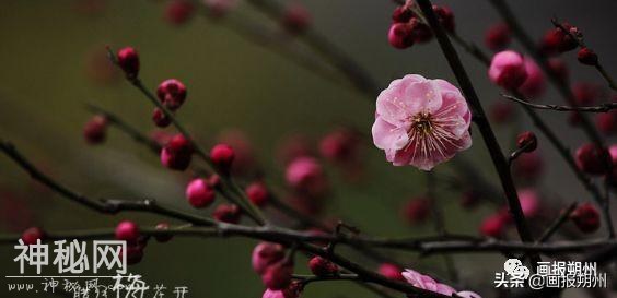 就在今天！腊月初一，你不知道的那些习俗-7.jpg