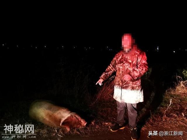 “吃货”搬走路边病死猪当年货，民警嘴边夺肉：有病毒，不能吃！-1.jpg