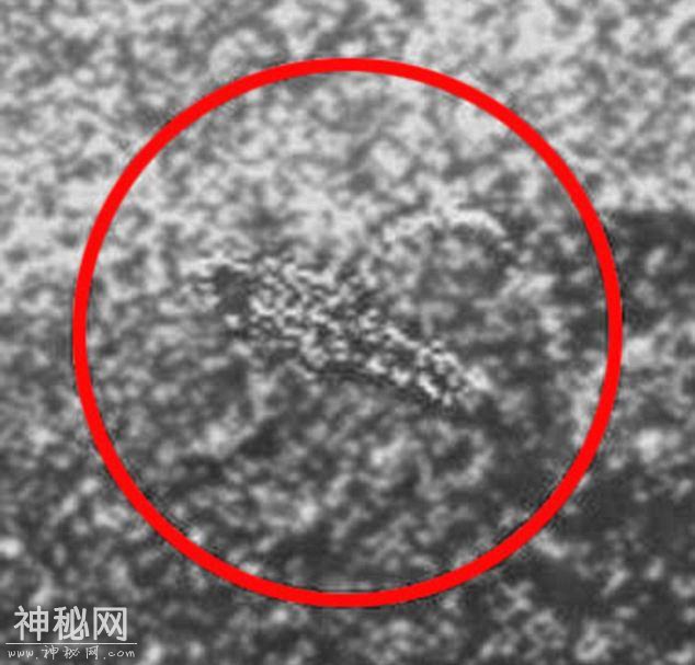 俄罗斯解密的金星神秘影像里显示有外星生命的存在-3.jpg