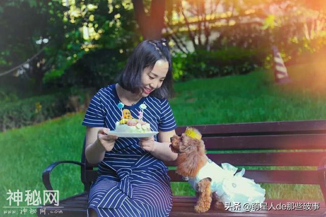 你知道么？我家有只身怀绝技的狗！-2.jpg