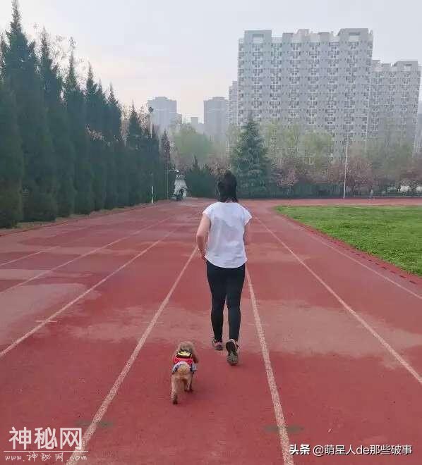 你知道么？我家有只身怀绝技的狗！-4.jpg
