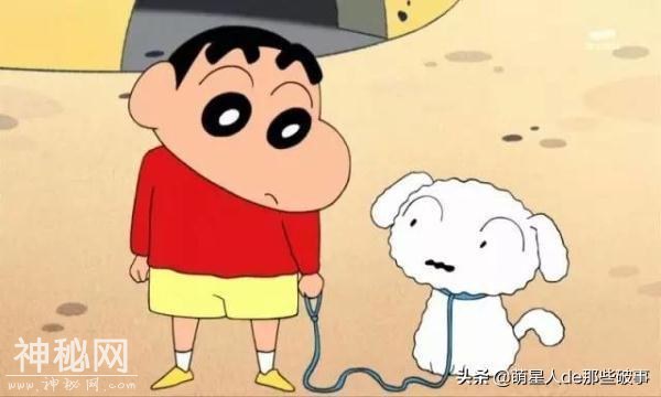 你知道么？我家有只身怀绝技的狗！-5.jpg