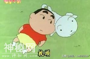 你知道么？我家有只身怀绝技的狗！-11.jpg