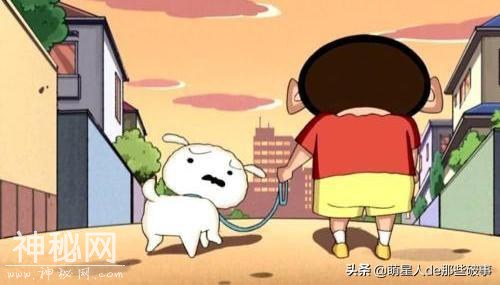 你知道么？我家有只身怀绝技的狗！-8.jpg