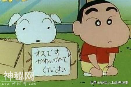 你知道么？我家有只身怀绝技的狗！-12.jpg