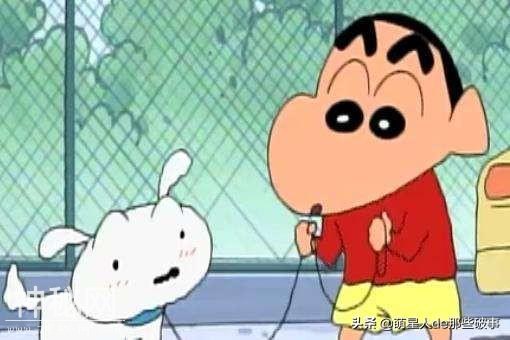 你知道么？我家有只身怀绝技的狗！-14.jpg