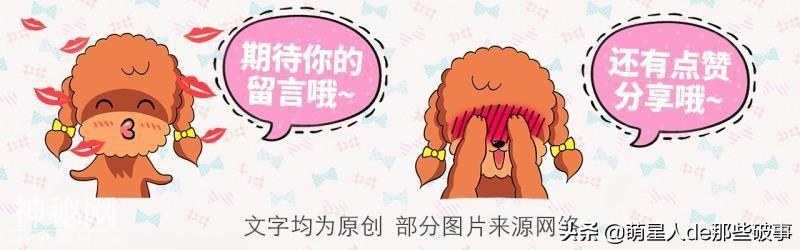 你知道么？我家有只身怀绝技的狗！-15.jpg