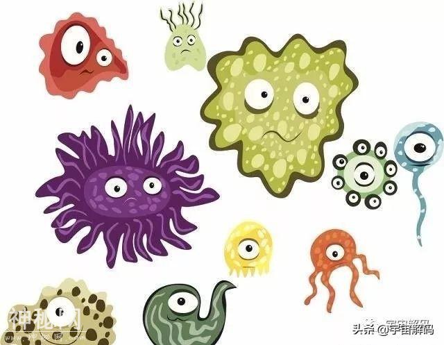人比细菌大上亿倍，宇宙有没有比人类大上亿倍的生物？-1.jpg