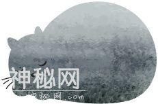氧气——我们寻找外星生命的方法对吗？-2.jpg